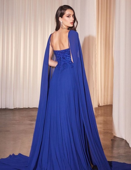 Long dress for guest with embroidered bodice and pleated skirt