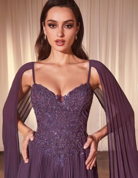 Long dress for guest with embroidered bodice and pleated skirt