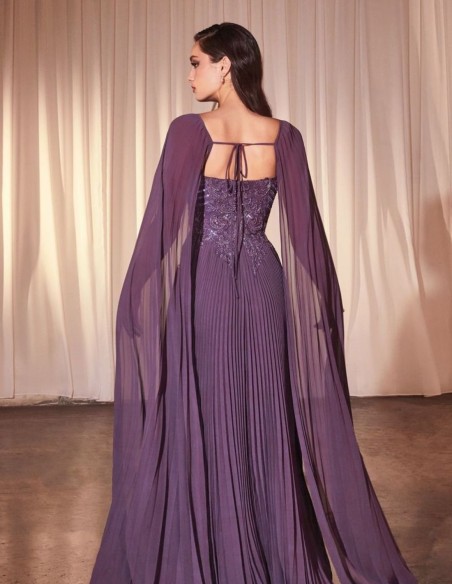 Longue robe d'invité avec corsage brodé et jupe plissée