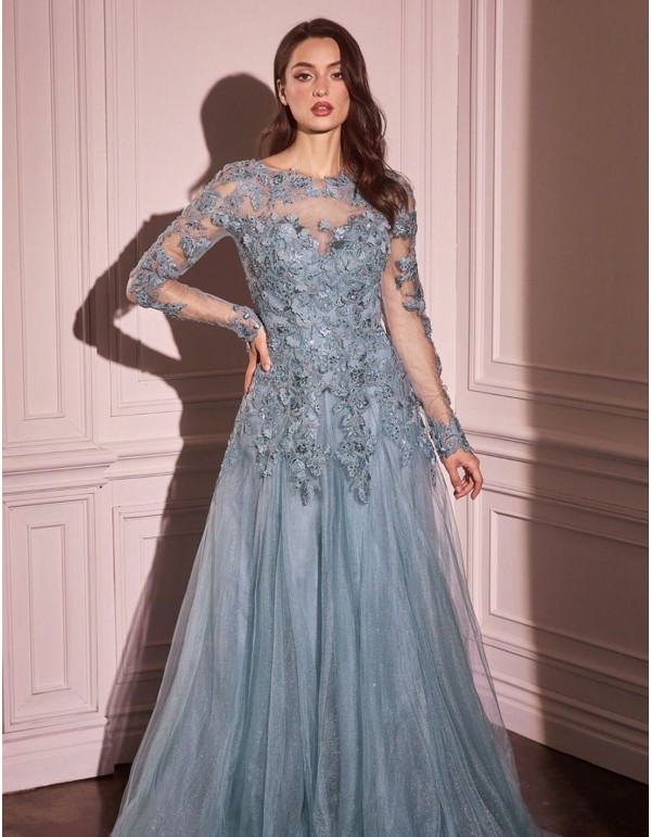 Robe d'invité longue avec corsage brodé et jupe en tulle 2