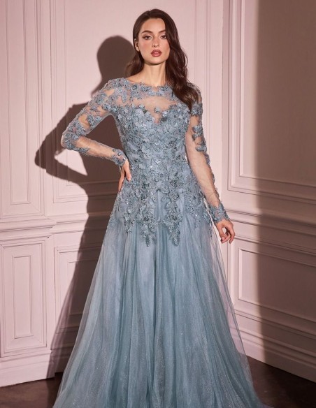 Robe d'invité longue avec corsage brodé et jupe en tulle