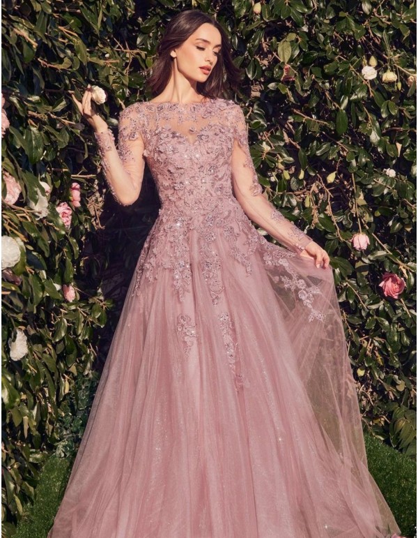 Robe d'invité longue avec corsage brodé et jupe en tulle