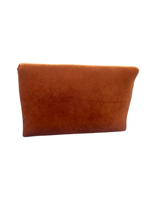 Caldera-colored velvet wallet with feather detail 2