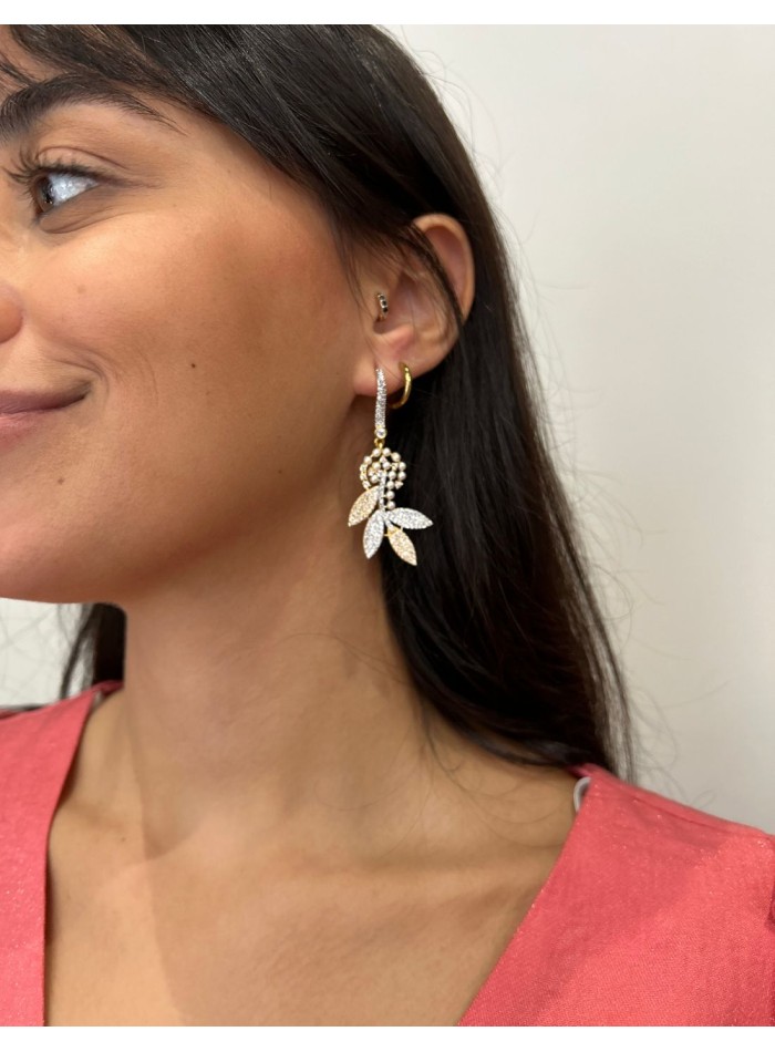 copy of plantilla Kamala