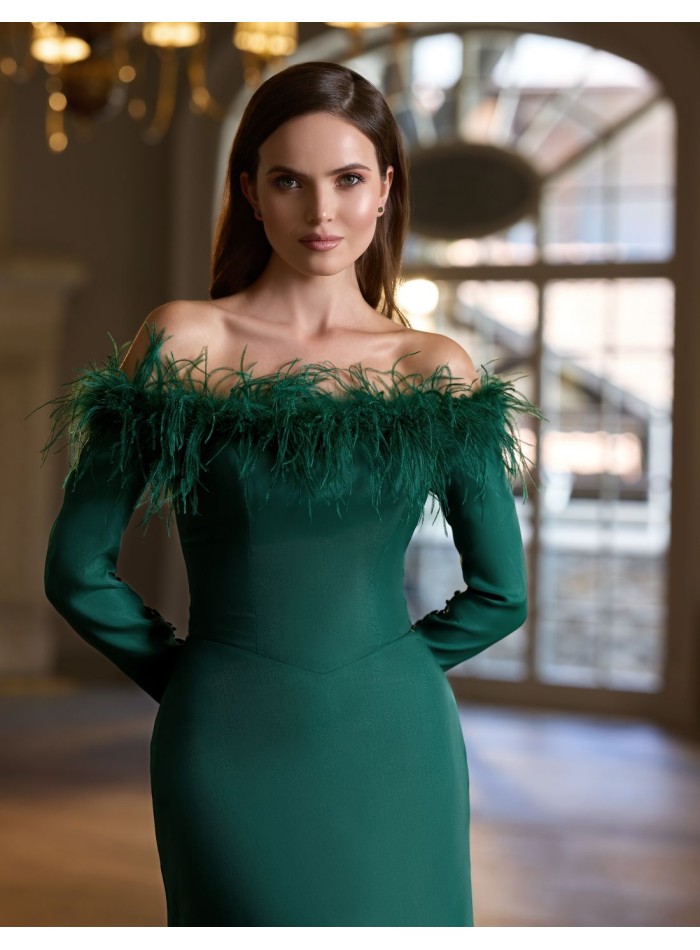 Long dress for guest with feather strapless...