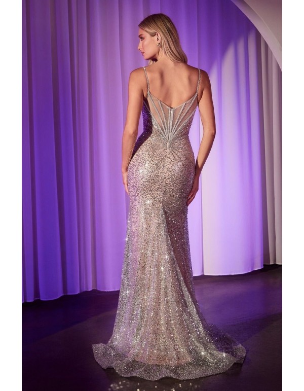 Long gown with nude and silver rhinestones and crystals 2