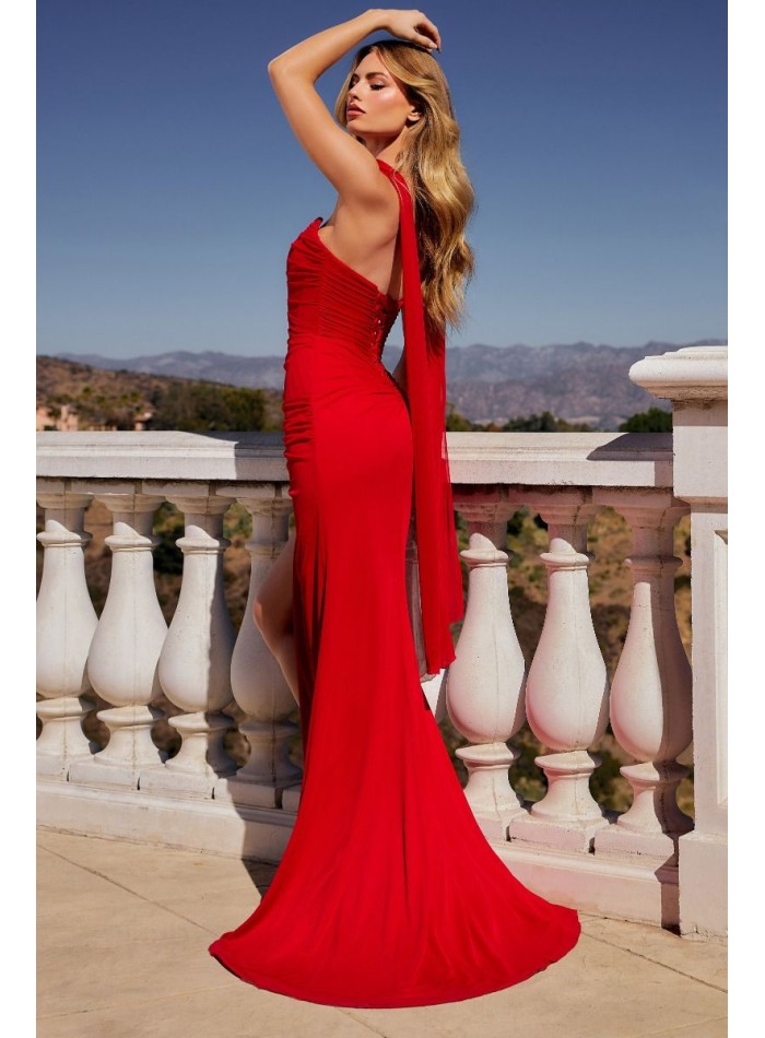 Long strapless guest dress with shawl