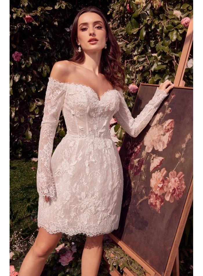 Robe de mariée courte avec dentelle, manches...