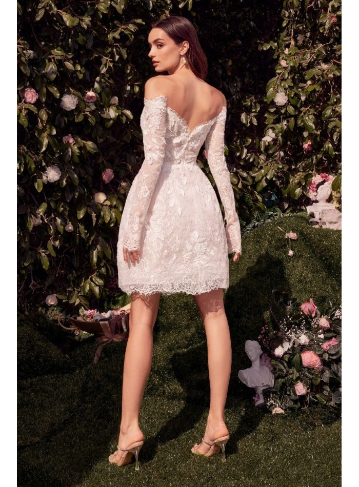 Short wedding dress with lace and long sleeves...