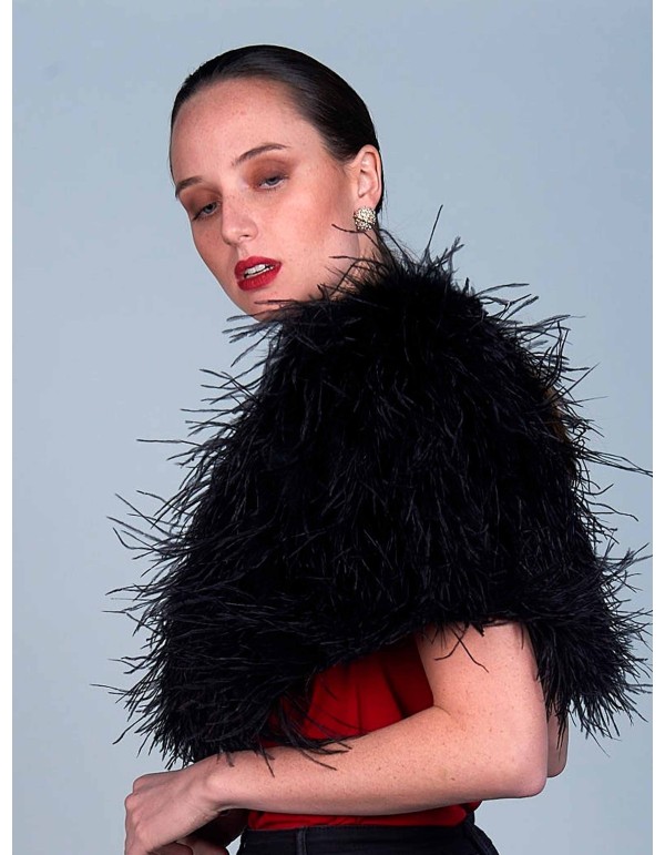 ostrich feathers warp in black 2