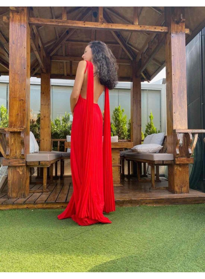 Long pleated party dress with cape sleeves