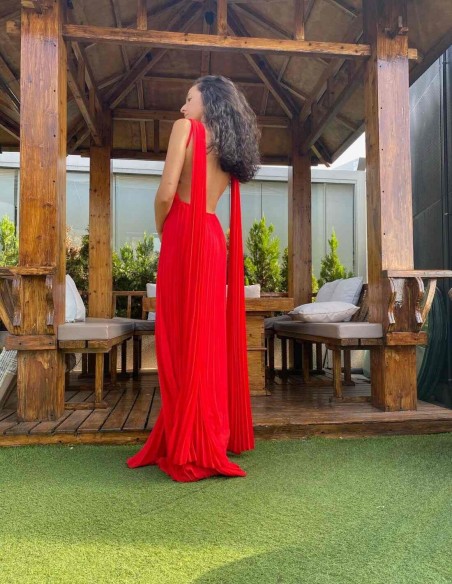 Long pleated party dress with cape sleeves