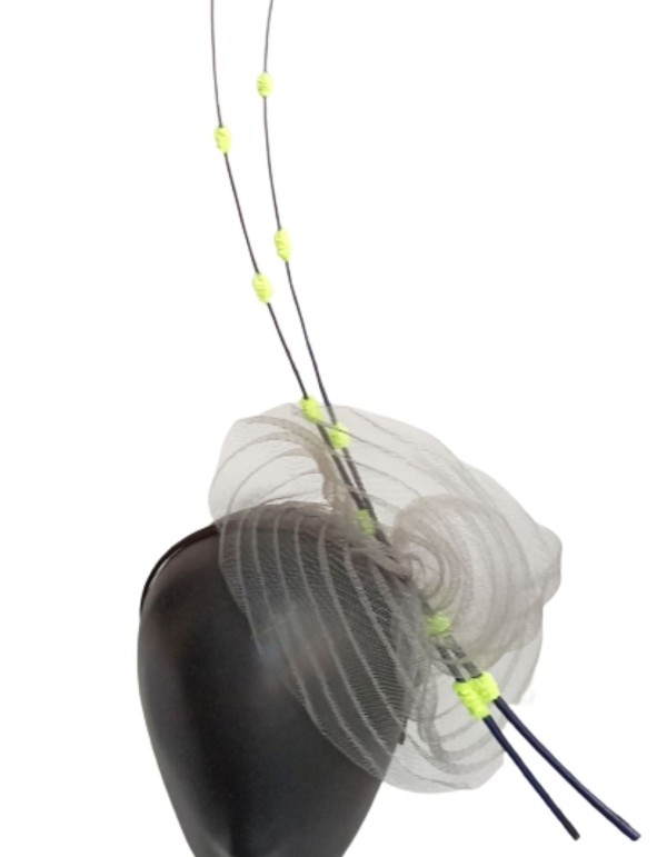 Headdress with diagonal rachis. 2