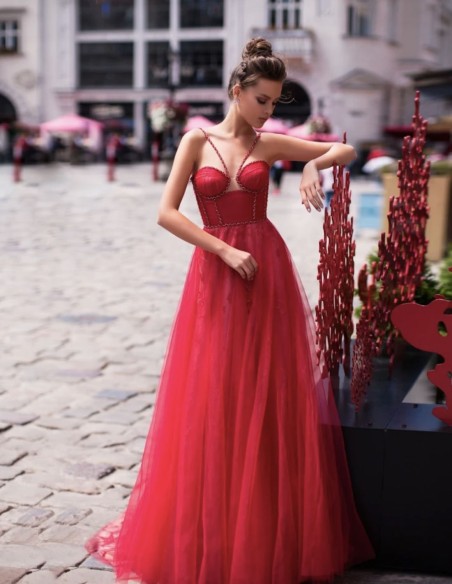 Long party dress with embroidered tulle skirt and bodice