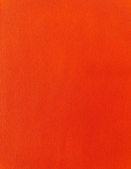 Vestido de color naranja para invitadas de día.