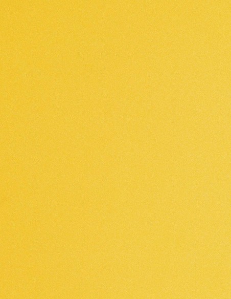 Long high-waist party skirt with fringe detailing