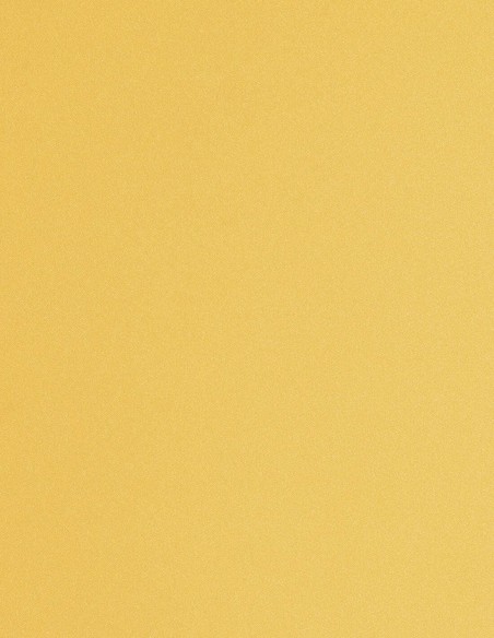 Short party dress with balloon sleeves and flower appliques