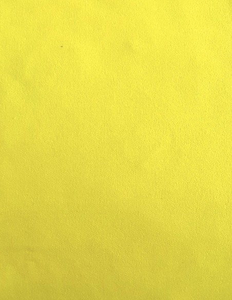 Short party dress with balloon sleeves and flower appliques