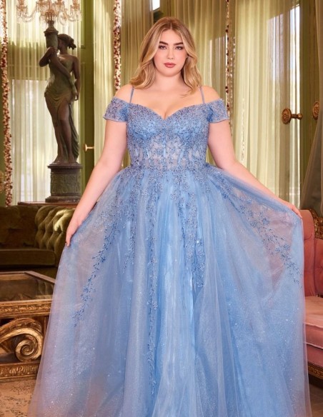 Long party dress with bandeau neckline and long tulle skirt