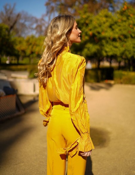 Chemisier de fête à manches longues, col montant et manches volantées