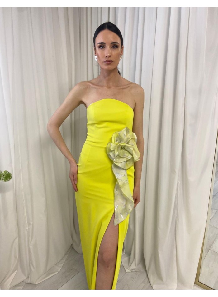 Robe de fête longue sans bretelles avec fleurs,...