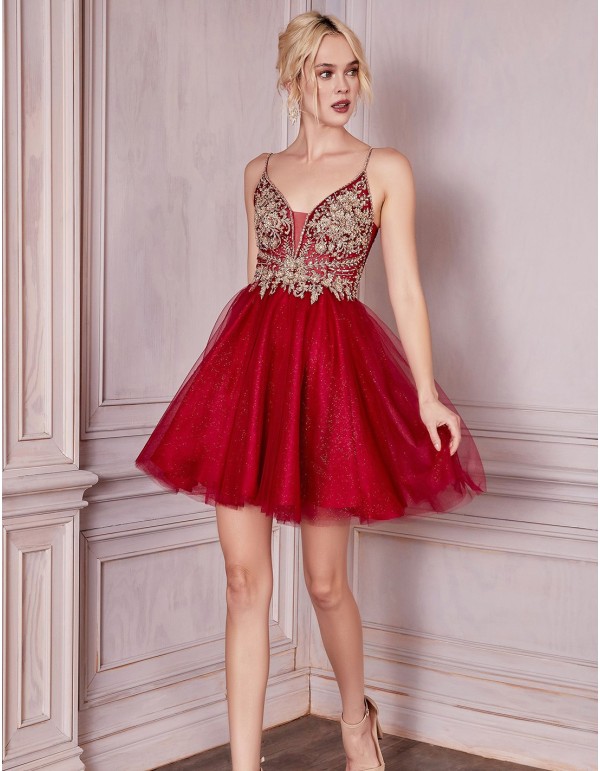 Short party dress with tulle skirt and embroidered bodice 2