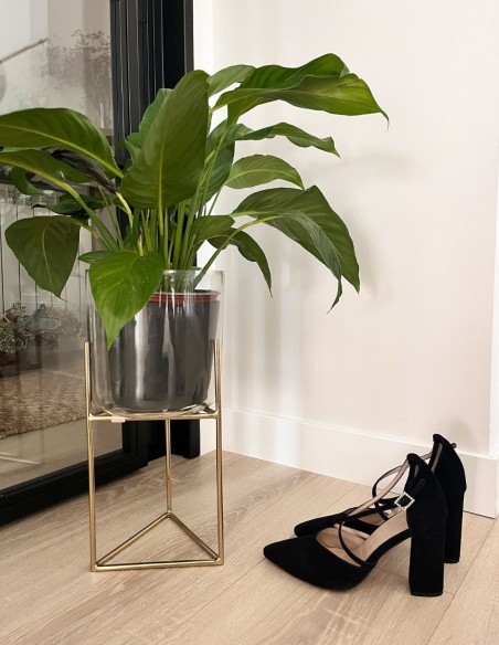 Chaussure en daim noir à brides croisées